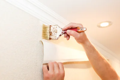 Pose de papier peint à Saint-Domet — revêtements muraux et toiles de verre